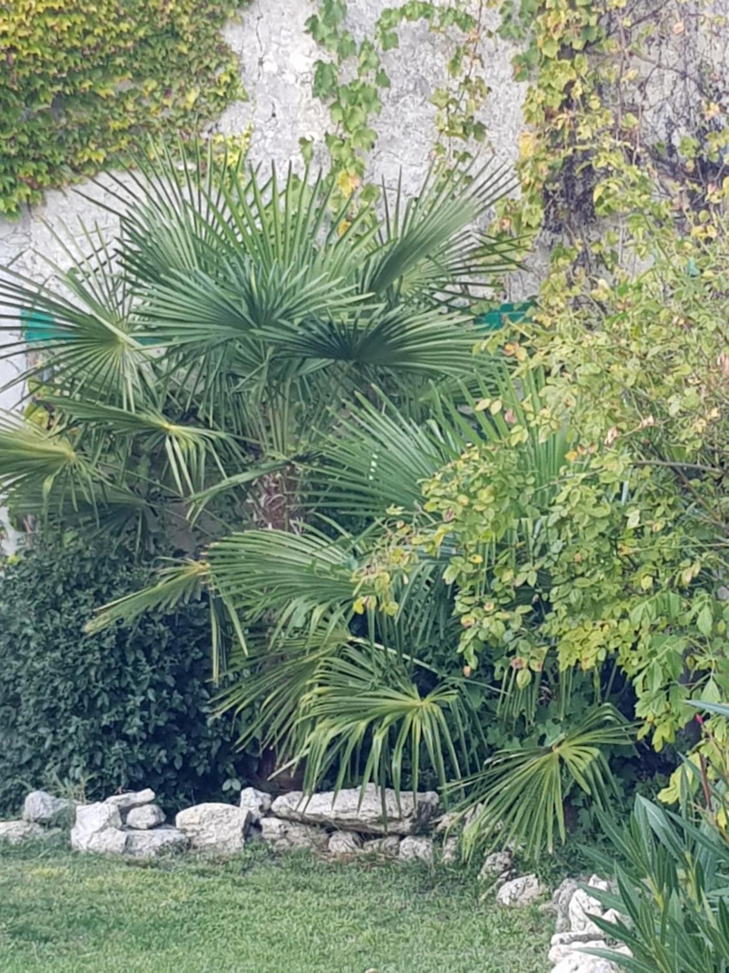 La Maison Malabar Villefranche-du-Queyran Екстериор снимка